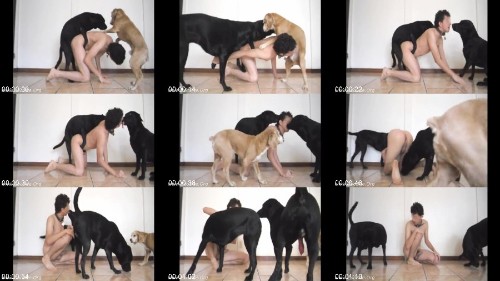 Aluzky Dog Double Knotted â€“ Zoo Sex Site â„–1