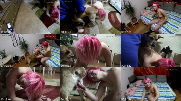 0226 PremZoo Sofya Loves Dogs 1 - Sofya Loves Dogs [mp4/1080p]