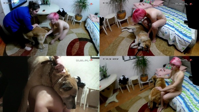 0226 PremZoo Sofya Loves Dogs - Sofya Loves Dogs [mp4/1080p]