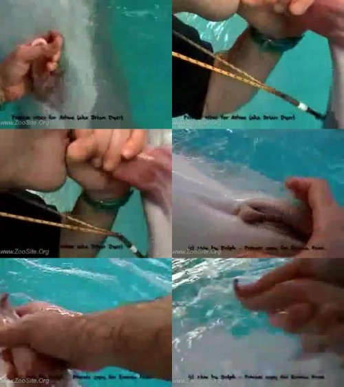 0571 ManZoo Trainer Blows Dolphin And Dolph Male Cum Longer  - Trainer Blows Dolphin And Dolph Male Cum Longer
